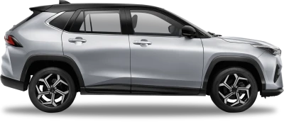 Traz Glittering Silver 2 Tone